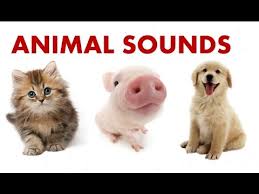 Animal Sounds For Children To Learn Best