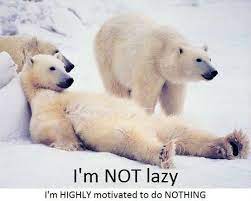 Misconceptions About Being Laid Back Laid Backlife