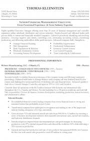 Chief Executive Officer Resume Examples Good Resume Examples Job Resume Samples
