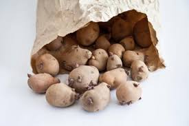 The ethlylene gas given off by an apple will prevent potatoes from sprouting, while keeping onions nearby will actually cause them to sprout. Is It Safe To Eat Sprouted Potatoes Help Around The Kitchen Food Network Food Network