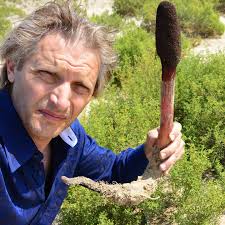 About — Joseph Simcox