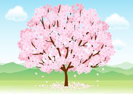 フリーイラスト 満開の桜の木のある風景 花 イラスト 桜の木 イラスト