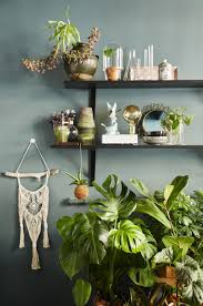 Variations Sur Le Vert Planete Deco A Homes World Groene Planten Planten Kamerplanten