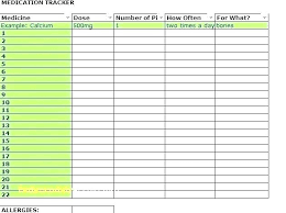 21 described medication chart for dogs