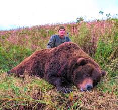 Besides the famous mcneil river and katmai alaskan brown bear populations, large herds of caribou, moose, wolves waterfowl, and willow ptarmigan inhabit the area. Alaska Peninsula Brown Bear Hunt Quality Hunts