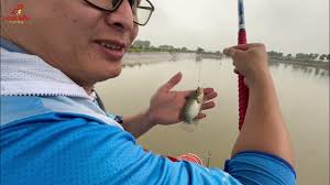 Tập tành làm quen môn chơi mới