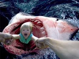 The biggest great white sharks can reach up to 20 feet long, but most are smaller. Summer Vacation Great White Shark Loving Photographer Takes Two Year Old Daughter To Visit The Politest Predators On Earth