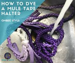 This is a braided paracord halter. How To Dye A Mule Tape Halter Braids By Brette Academy