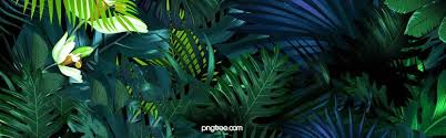 خلفية غابة الربيع Watercolor Flower Background Background Images Dream Illustration