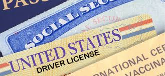 Florida driver's license or state identification card. Californian Id Cards A Must Have For Locals By Myimprov