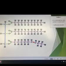 Encompassing carbohydrates, proteins, lipids and nucleic acids, macromolecules exhibit a number of similarities. Is It Carbohydrate Lipid Protein Or Nucleic Acid Please Help Last Question And Im Stuckk Brainly Com