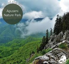 9a, corp 2, sector 2. Avem Deosebita Bucurie SÄƒ VÄƒ AnunÈ›Äƒm Regia Nationala A Padurilor Romsilva Facebook