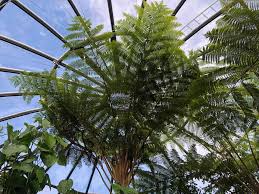 Visiting The Botanical Garden Of The University Of Zurich Botanischer Garten