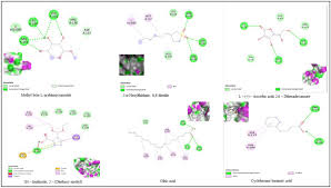 Image result for Multidentia sp. A