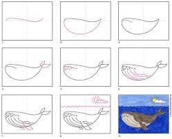 Draw the outline of the body, as shown above. How To Draw A Humpback Whale Art Projects For Kids
