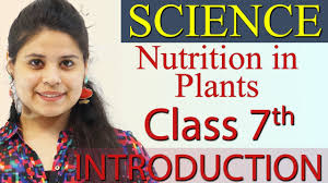 Introduction Nutrition In Plants Chapter 1 Class 7 Science Youtube