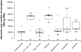 A2252, batu 23, jalan batu arang kampung sungai bakau 48000 rawang, selangor. Frontiers Expression Of Repressor Element 1 Silencing Transcription Factor Rest In Serotonin Neurons In The Adult Male Nile Tilapia Oreochromis Niloticus Frontiers In Neuroanatomy
