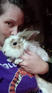 My daughter is looking for a new home for her cute 2 1/2 year old male lion  head bunny. He is very sociable and friendly and free roams within a couple  of “