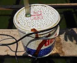 Membuat Alternatif Saringan Pompa Kolam Dengan Ember Bekas Cat Daun Ijo