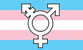 Listen to and download this is how it always is audiobook by laurie frankel without annoying advertising. Review This Is How It Always Is Education