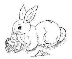 Free, printable mandala coloring pages for adults in every design you can imagine. Rabbit Free Printable Coloring Pages For Kids