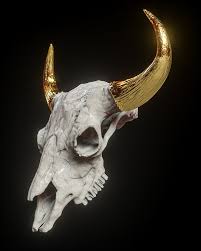 Billelis 3d Skull Pack Vol 2 On Behance Skull Model Bull Skull Tattoos Animal Skeletons