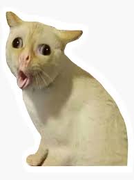 Coughing Cat Meme Sticker By Splendid Scribbles In 2021 Cat Memes Meme Stickers Cats