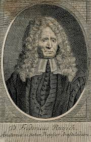 Mastery of anatomy, preservation and artistic. File Frederik Ruysch Line Engraving Wellcome V0005160 Jpg Wikimedia Commons