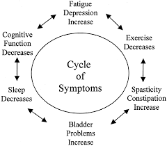 It's considered an autoimmune disease in which the body's immune system attacks its own tissues. A Multimodal Approach To Managing The Symptoms Of Multiple Sclerosis Neurology