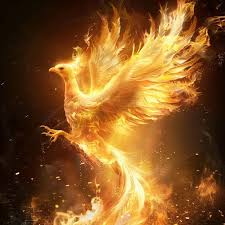 Image result for Phoenix