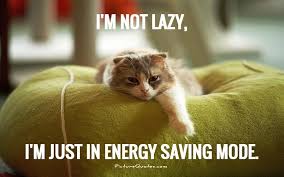 I M Not Lazy Funny Cat Pictures Funniest Cat Memes Funny Cat Memes