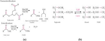 Growth rate of algal species was measured on the basis of increase in their dry matter in various media. Production Of Biodiesel From Soybean Oil And Methanol Catalyzed By Calcium Oxide In A Recycle Reactor Sciencedirect