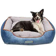 I cani nutriti con croccantini tendono a produrre grandi quantità di feci molli di odore piuttosto cattivo leopet offre una brandina per cani di taglia grande o media, purché rientrino nelle sue dimensioni 100 x 60 cm. Lettini Per Cani Consigli Per L Acquisto A Buon Prezzo E L Utilizzo