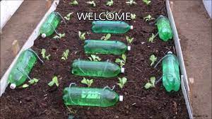 A Drip Irrigation System Can Save Time Watering Plants And It Is Also Very Useful If You Are Pl Self Watering Plants Plant Watering System Drip Irrigation Diy