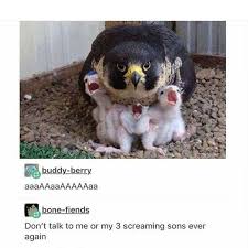 51 Funny Animal Pictures Meme Dump Of The Day To Make You Lol Funny Animal Pictures Animal Memes Funny Animals