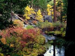The 7 Best Spots For Fall Color In California Lassen Volcanic National Park Free Things To Do Affordable Family Vacations