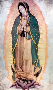 Go get close to those amazing fish!! Set St Joseph Our Lady Of Guadalupe Print On Icon Board New Jerusalem Studios