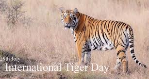 Today is international widows day. International Tiger Day 29th July 2019 Wishes Quotes Messages Slogans Technewssources Com