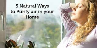 Most people spend a significant amount of their time indoors either in the office or at home where chemical gases and other pollutants can cause headaches, allergies, eye irritation, and fatigue. 5 Natural Ways To Purify Air In Your Home