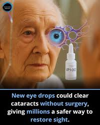 I'm having cataract surgery tomorrow and have been prescribed eye drops  that have prednisolone (not prednisone). Wondering what impact, if any,  these might have