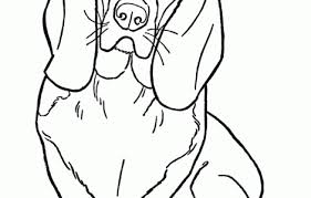 Basset Hound Coloring Pages Coloringpageskid Com Dog Coloring Page Cat Coloring Page Coloring Books