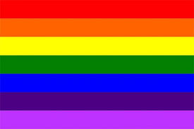 Essa bandeira possui quatro faixas horizontais de igual tamanho. O Guia Das Bandeiras Lgbtqi E Relacionadas