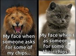 The fastest meme generator on the planet. 27 Fresh Litter And Filled Food Bowls Memes To Bring In Caturday The Right Way Cat Memes Lion Memes Funniest Cat Memes