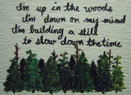 Pin By Abbie Morrison On O N T H E S P E A K E R S Bon Iver Words Quotes Beautiful Quotes