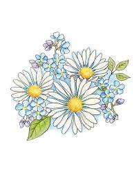 Black And White Daisy Transparent Background Flower Clipart Daisy Bouquet Watercolor Hand Painted Clipart Digital Etsy In 2020 Daisy Drawing Book Art Projects Daisy Bouquet