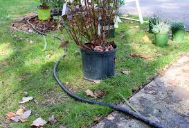 How do you make a garden bed? The Surefire Way To Create A Thriving Flower Garden Bed Hogyan Keszitsek