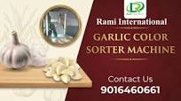 Garlic Color Sorter Machine 🔥Peeled Garlic Sorter Machine 🎯 Belt Type  Color Sorting Machine #garlic