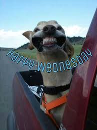 At the cocktail party, one woman said to another, 'aren't you wearing your wedding ring on the wrong finger?' Best Happy Wednesday Quotes For Your Motivational