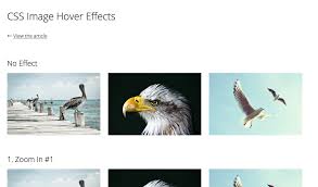Demo Css Image Hover Effects Css Image Interactive Design