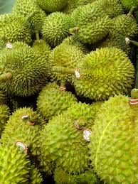 Durian The Metalhead Southeast Asian Fruit
